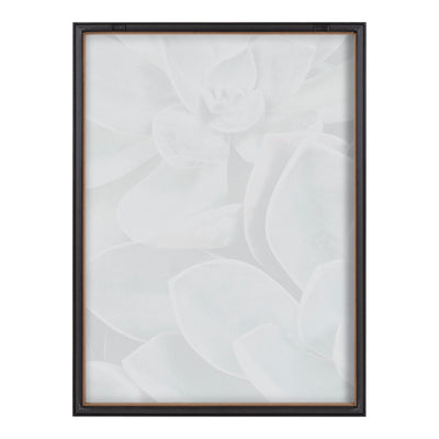 Blake Botanical Succulent Plants 1 Framed Printed Glass by The Creative by kateandlaurel - product image 4 for Resin Society
