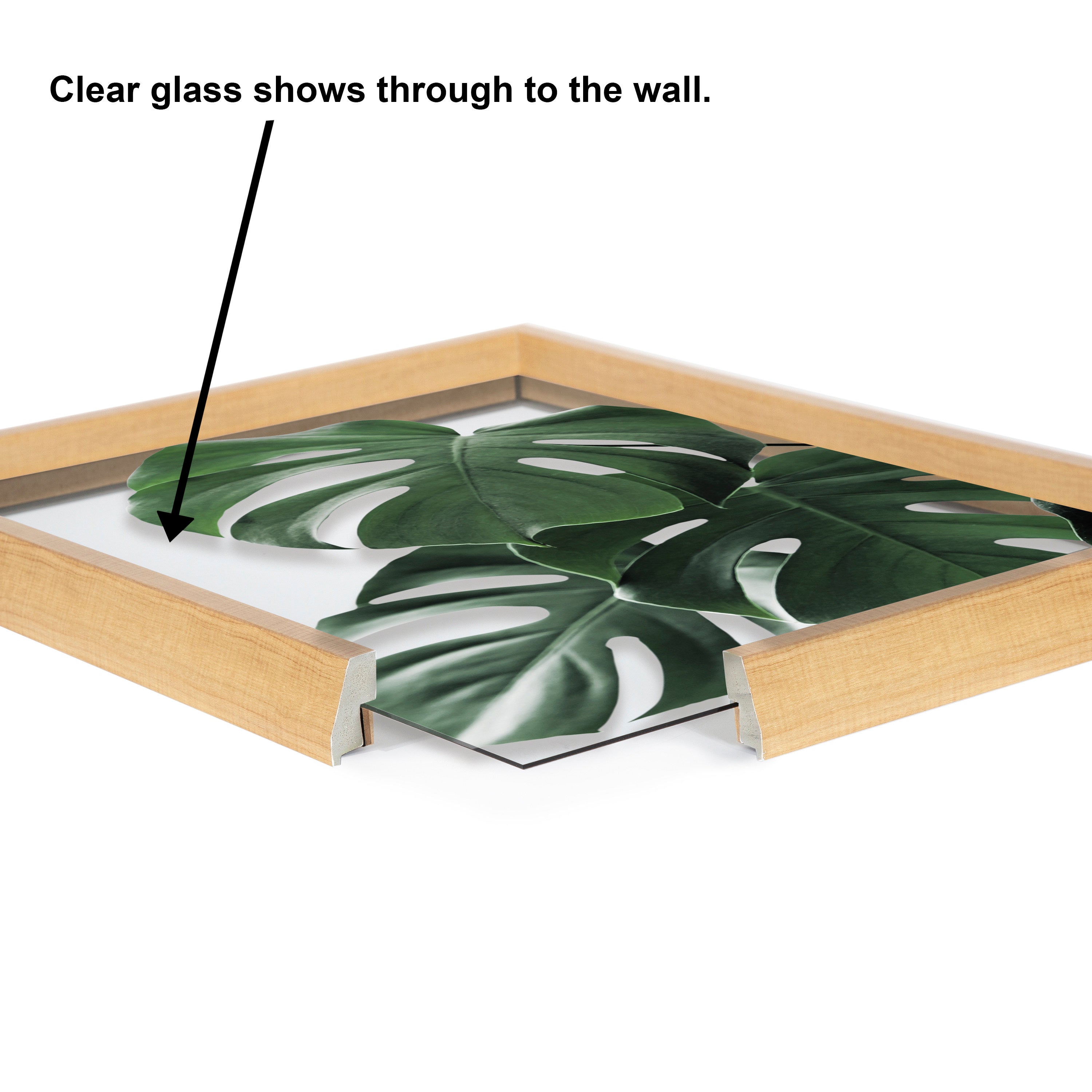 Blake Monstera leaves Framed Printed Glass by Amy Peterson Art Studio by kateandlaurel - product image 3 for Resin Society