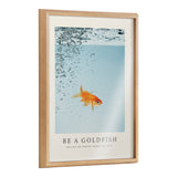 Blake Be A Goldfish Framed Printed Glass by The Creative Bunch Studio by kateandlaurel - main product image for Resin Society