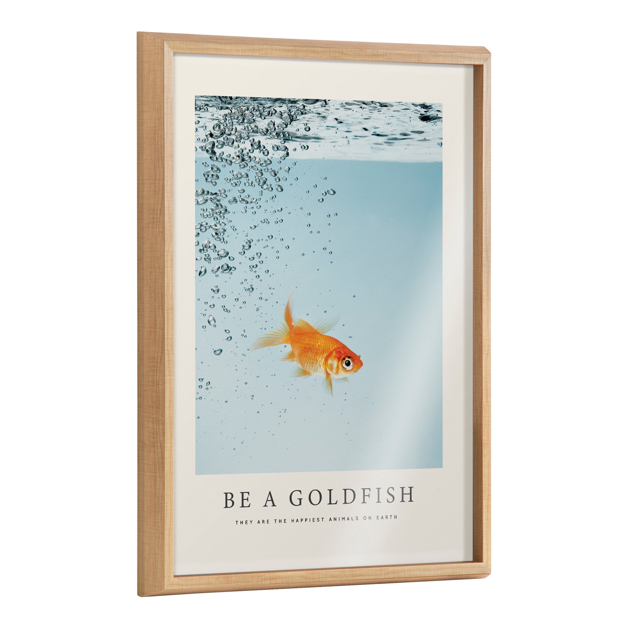 Blake Be A Goldfish Framed Printed Glass by The Creative Bunch Studio by kateandlaurel - main product image for Resin Society