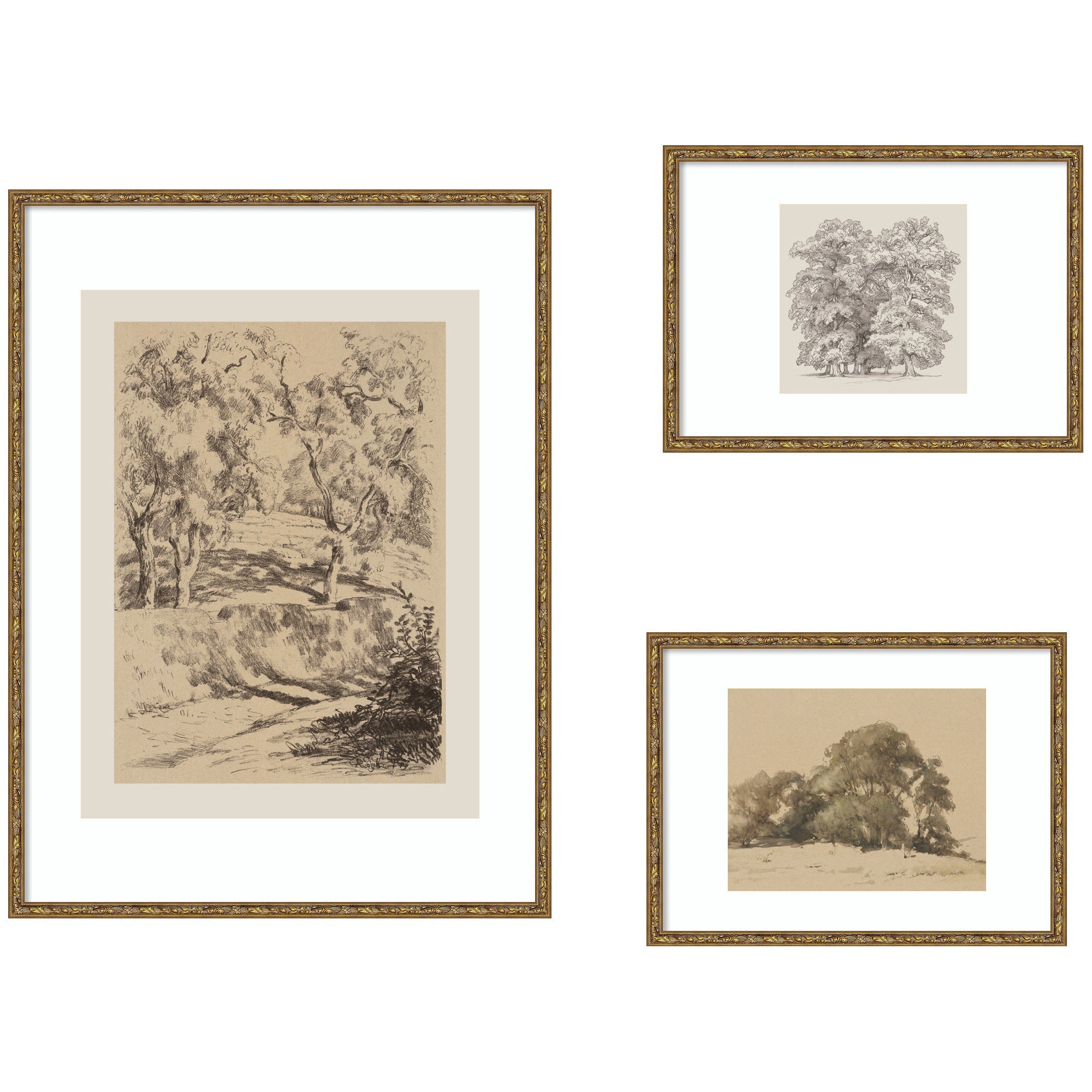 Sketches of Nature by Fry, Becker & Bosboom 3 Piece Framed Wall Art Print Set by Nostalgia Prints