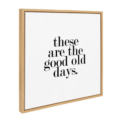 Sylvie Good Old Days Framed Canvas by kateandlaurel - product image 14 for Resin Society