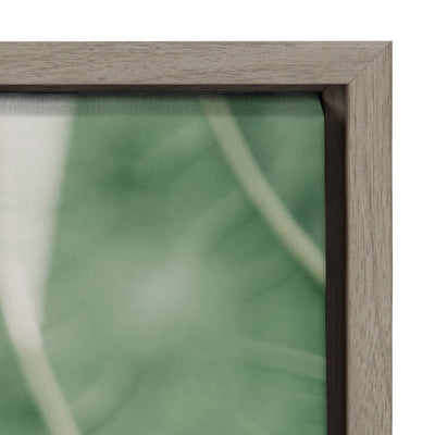 Sylvie Plant Study 7 Framed Canvas by kateandlaurel - product image 11 for Resin Society