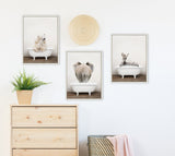 Sylvie Baby Zebra in Rustic Bath Framed Canvas by kateandlaurel - product image 5 for Resin Society