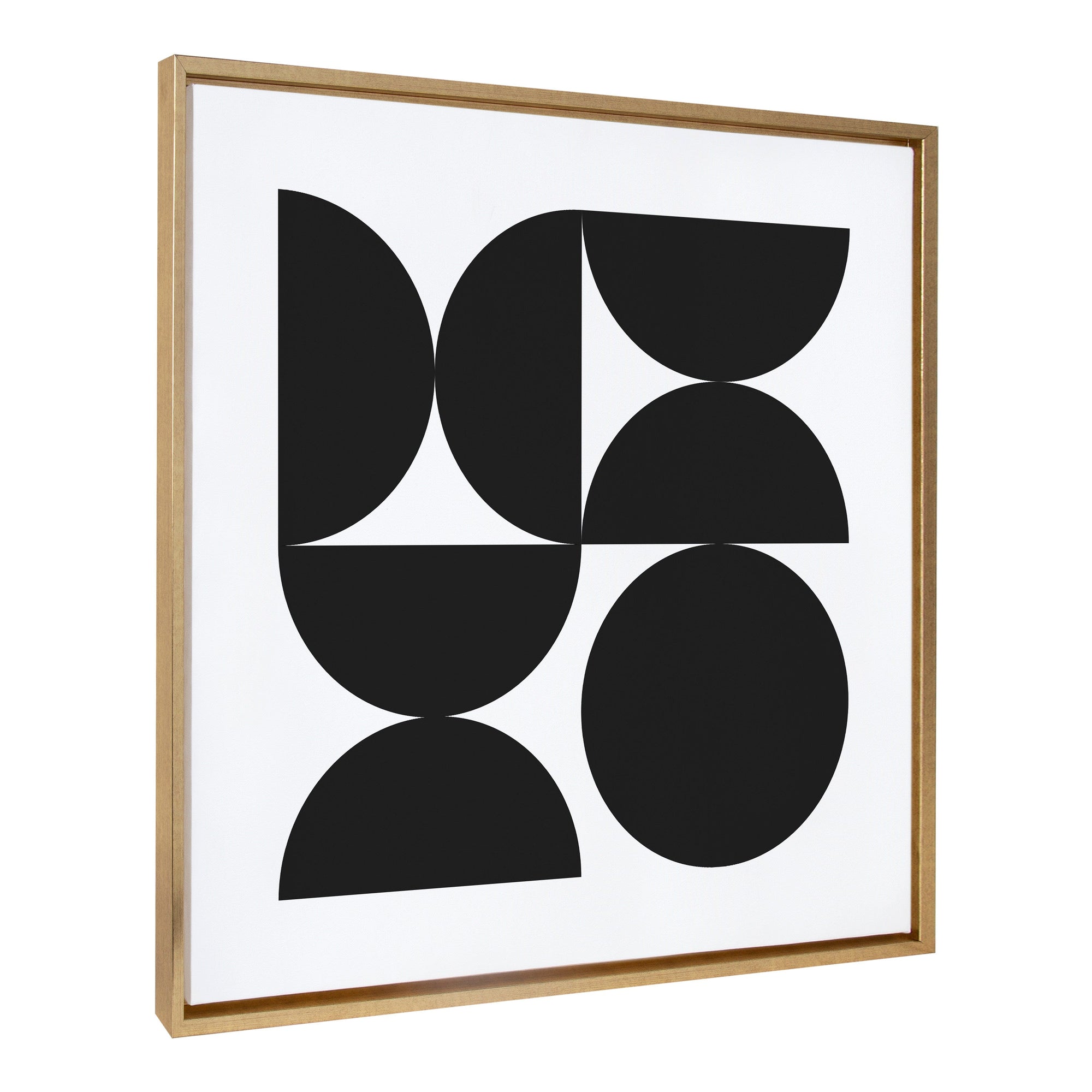 Sylvie Bold Vintage Geometric Black and White Framed Canvas by kateandlaurel - main product image for Resin Society