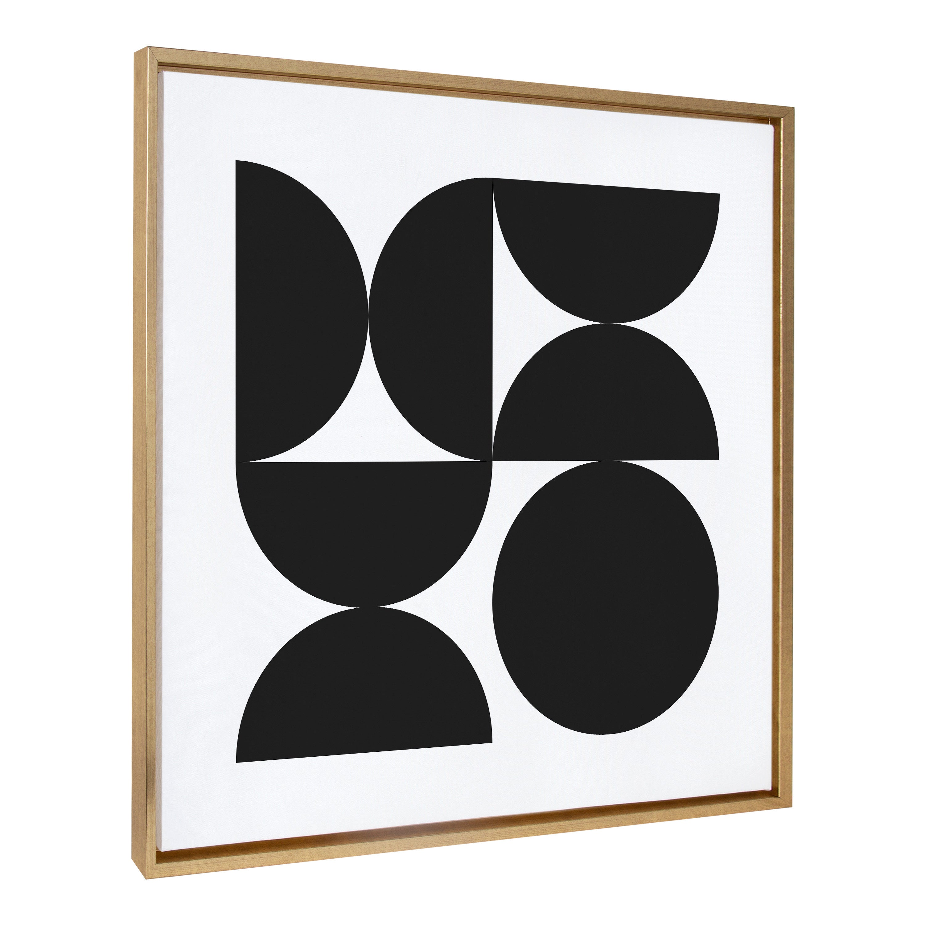 Sylvie Bold Vintage Geometric Black and White Framed Canvas by kateandlaurel - main product image for Resin Society