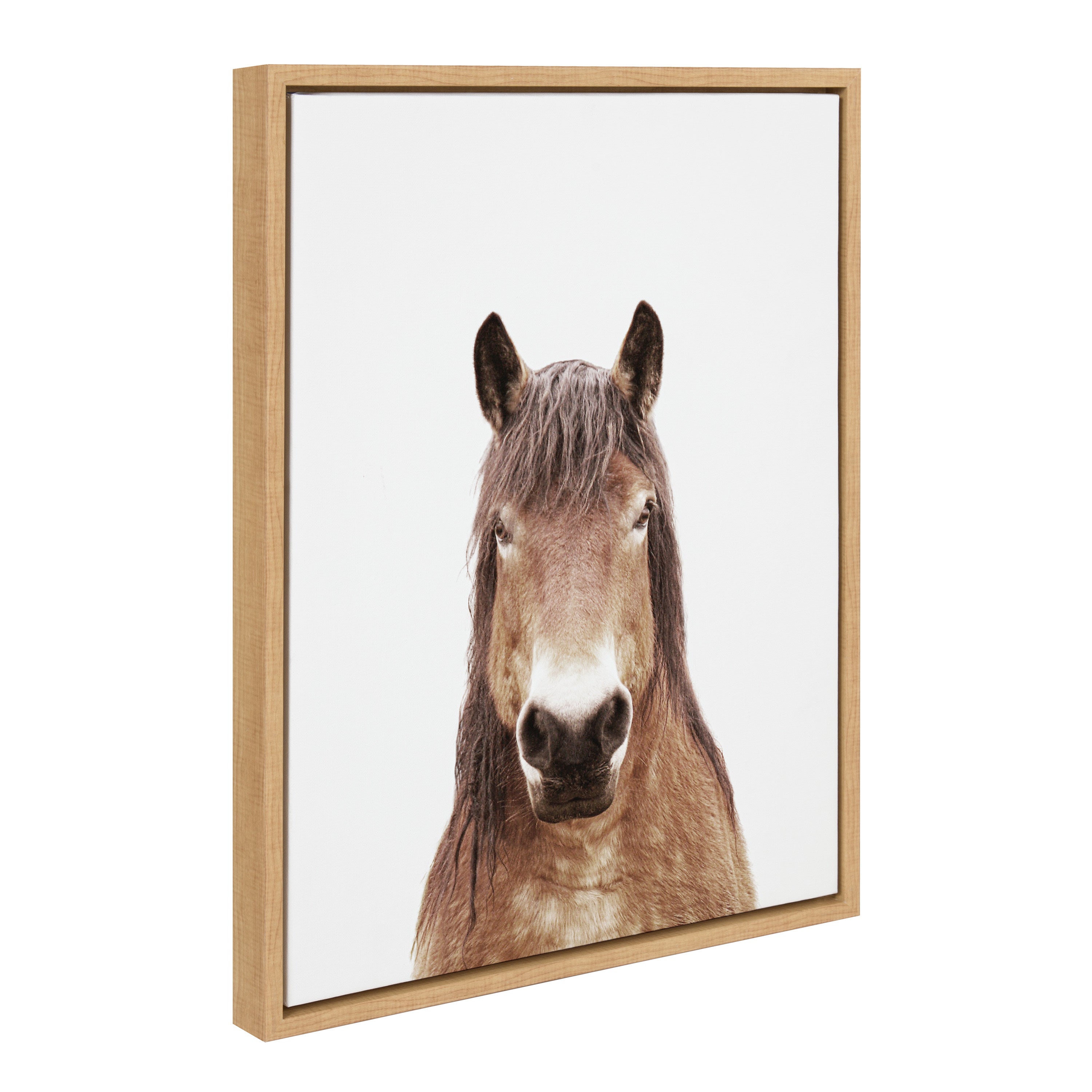 Sylvie Meadow Horse Portrait framed canvas art, showing a black and white horse with a natural lightweight frame