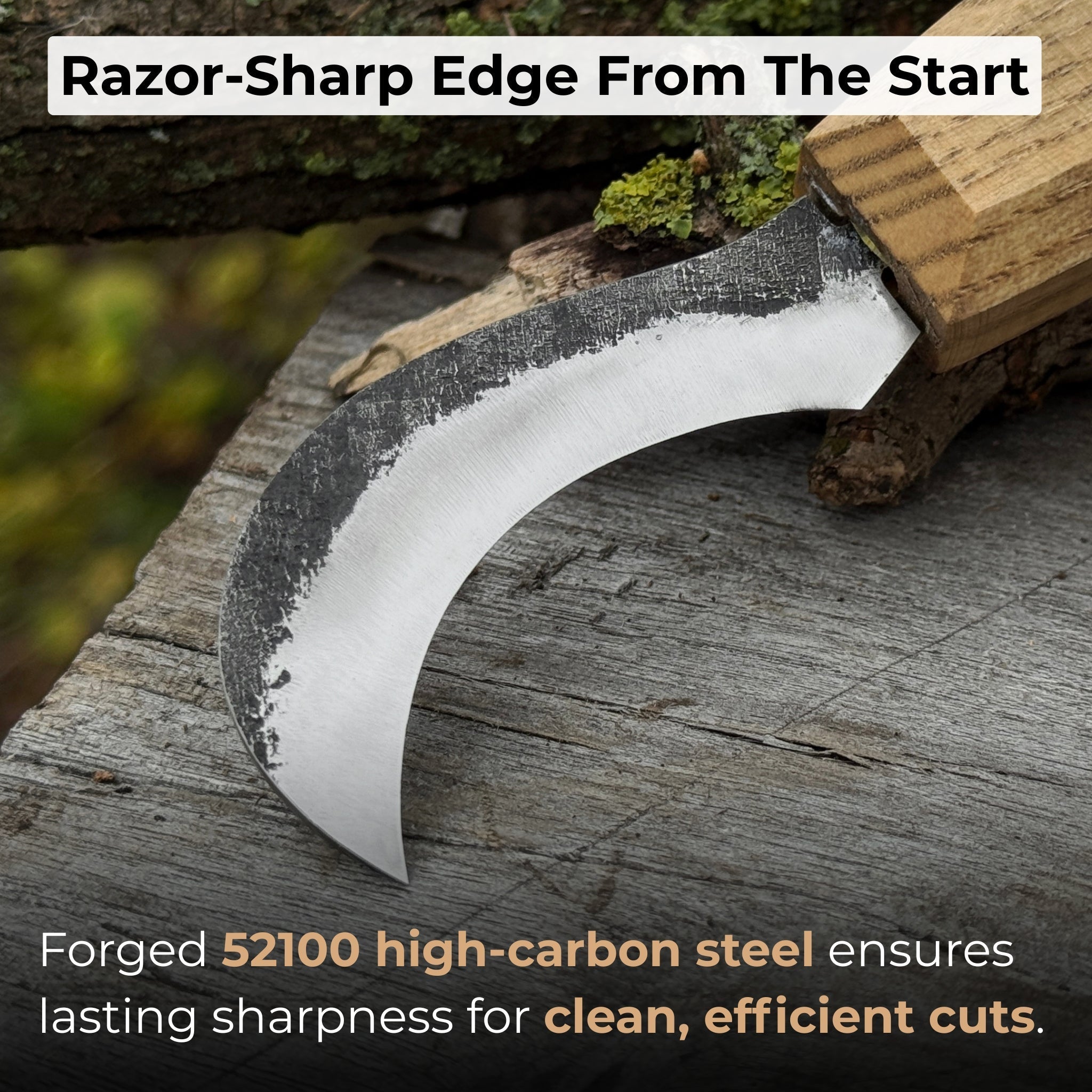 Forged mushroom knife with 6.5 cm carbon steel blade, ash wood handle, and built-in brush by Sharky Forged Steel Tools