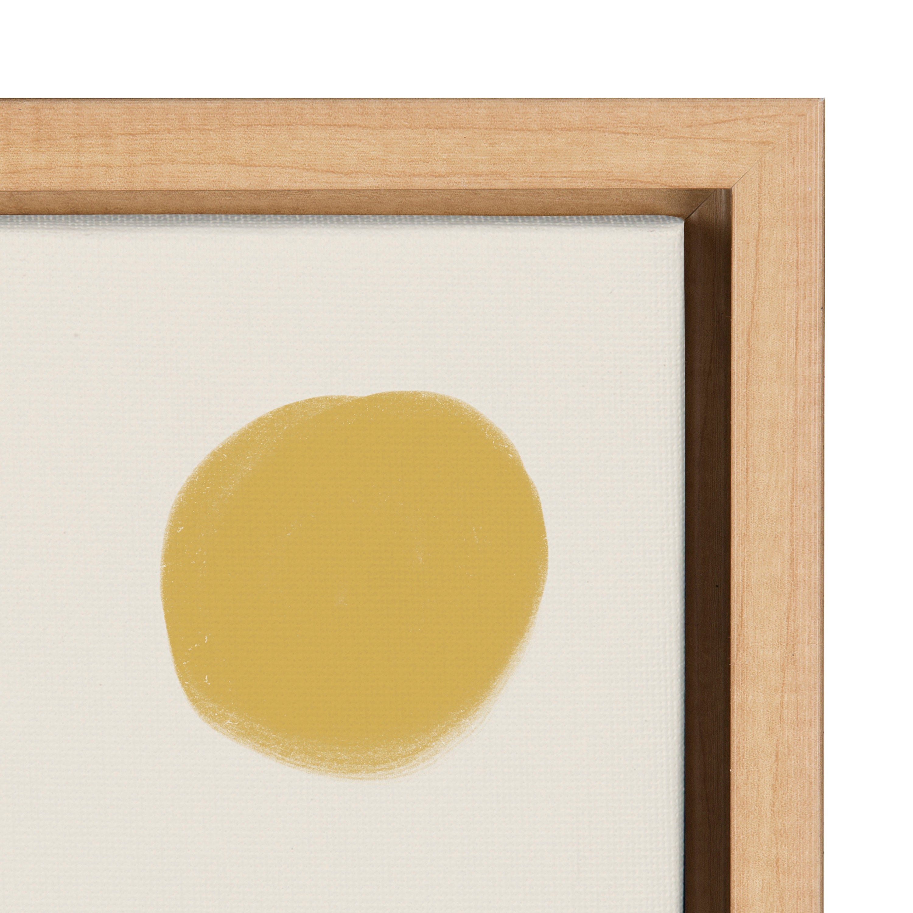Sylvie Zen Garden 2 Framed Canvas by kateandlaurel - product image 3 for Resin Society