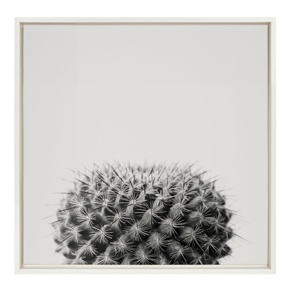 Sylvie Haze Succulent Cactus Short Framed Canvas by kateandlaurel - main product image for Resin Society