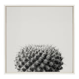 Sylvie Haze Succulent Cactus Short Framed Canvas by kateandlaurel - main product image for Resin Society
