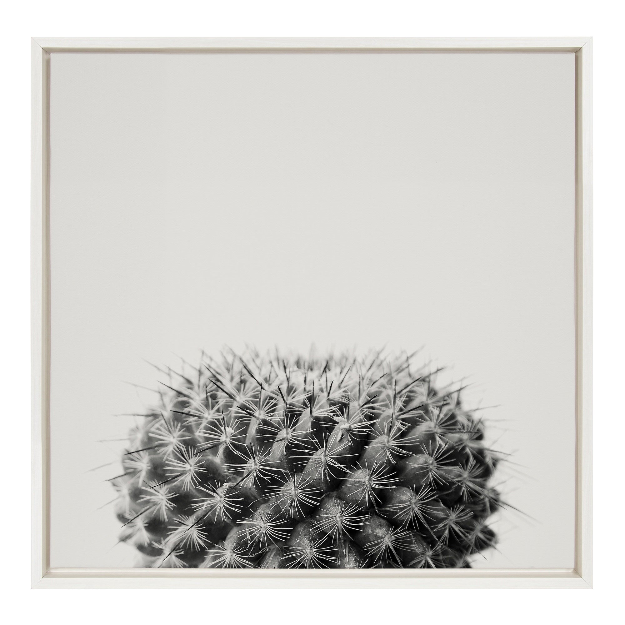 Sylvie Haze Succulent Cactus Short Framed Canvas by kateandlaurel - main product image for Resin Society