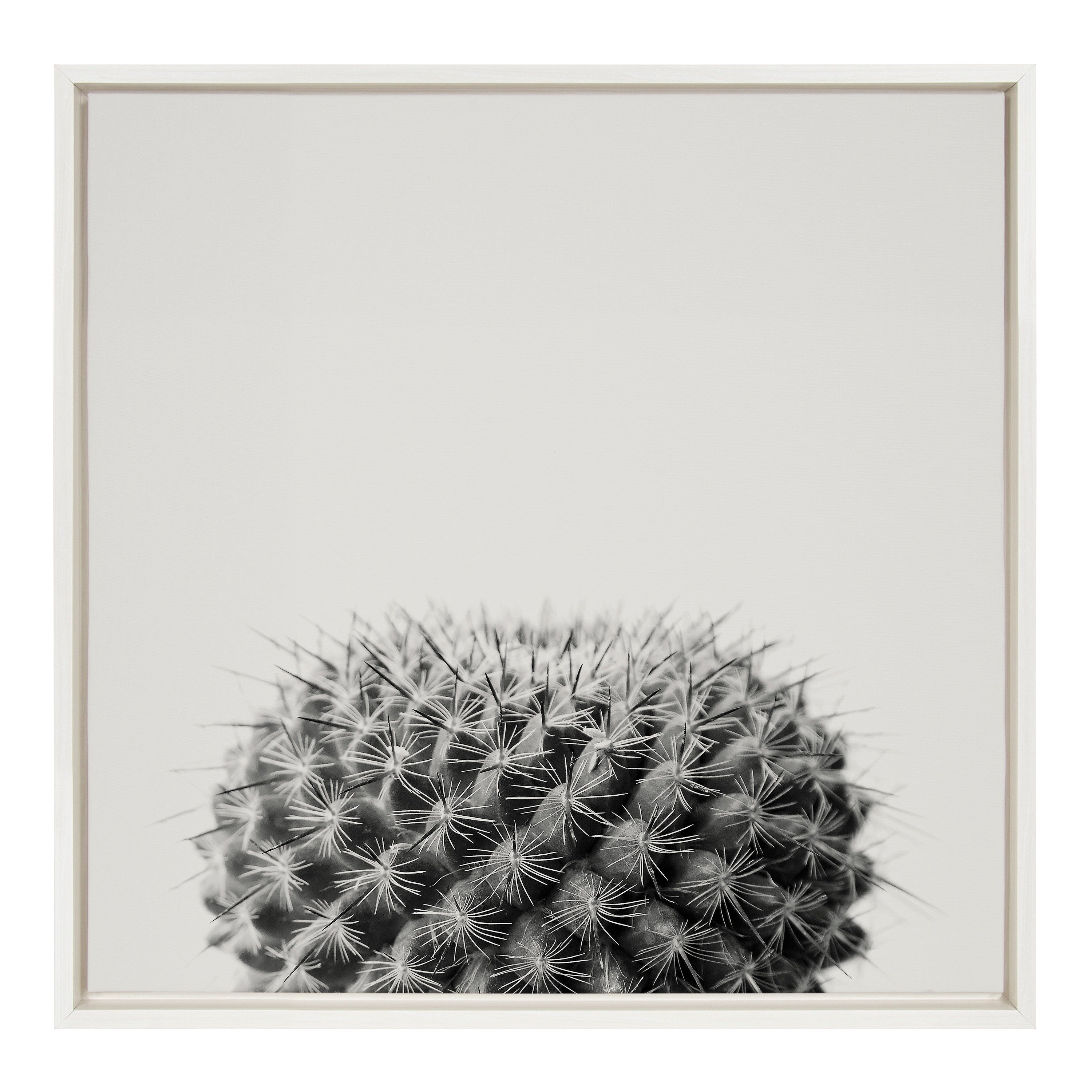Sylvie Haze Succulent Cactus Short Framed Canvas by kateandlaurel - main product image for Resin Society