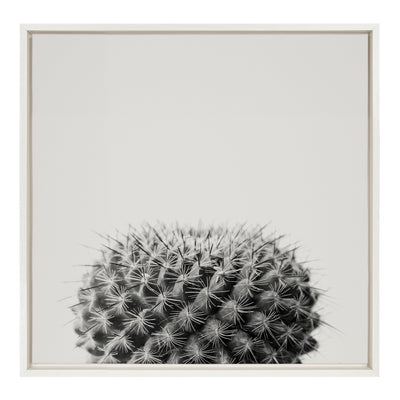 Sylvie Haze Succulent Cactus Short Framed Canvas by kateandlaurel - main product image for Resin Society