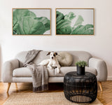 Sylvie Plant Study 7 Framed Canvas by kateandlaurel - product image 4 for Resin Society