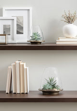 Two glass cloche candle holders with succulents inside, placed on wooden shelves alongside framed grayscale art, stacked books, and a white vase with dried branches.