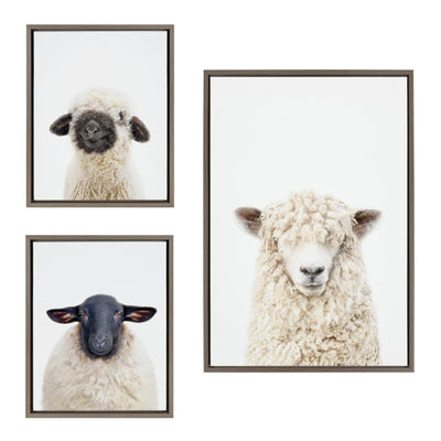Three-piece framed canvas art set with portraits of black nosed and Dorper sheep, featuring neutral gray tones
