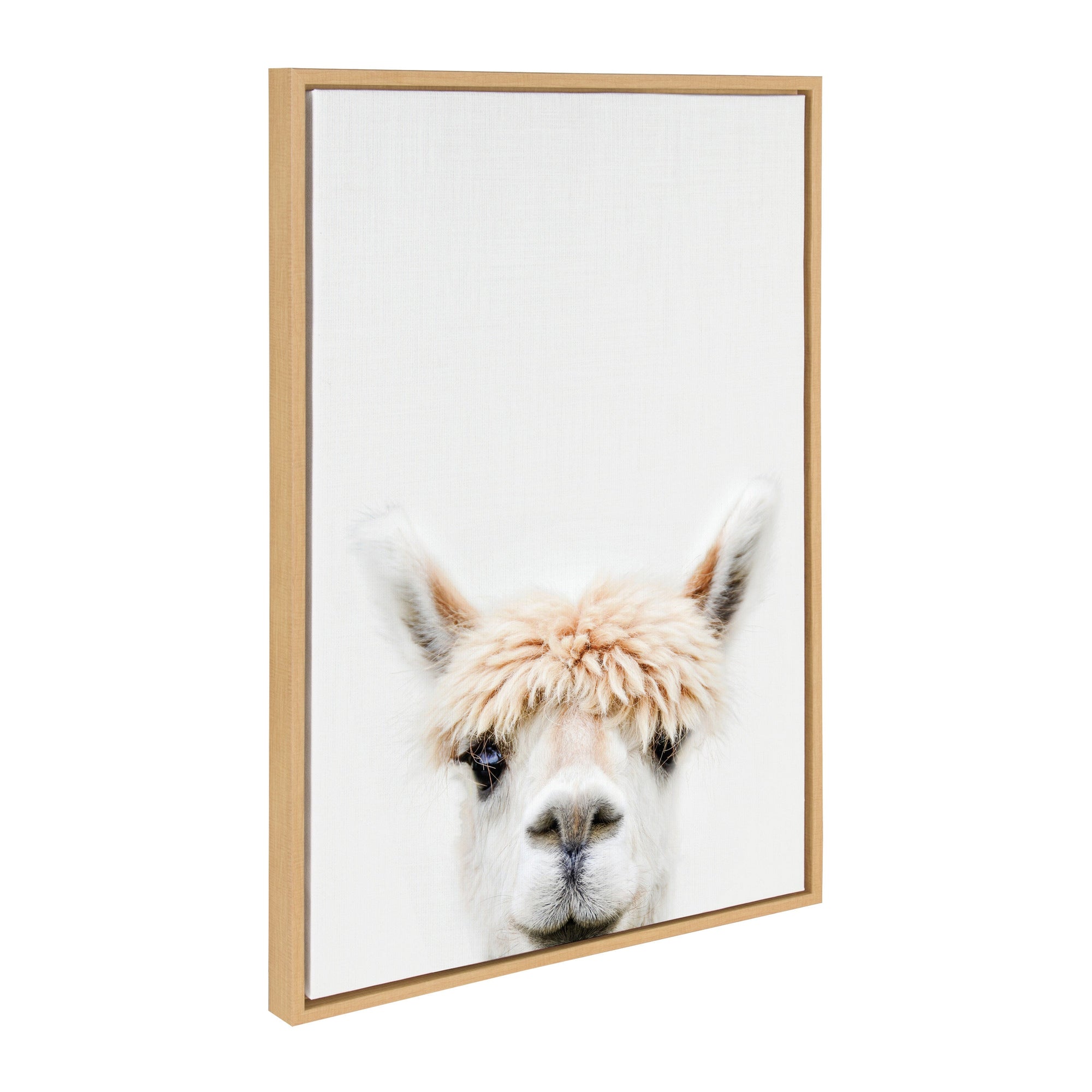 Sylvie Alpaca Bangs Framed Canvas by Amy Peterson Art Studio by kateandlaurel - main product image for Resin Society