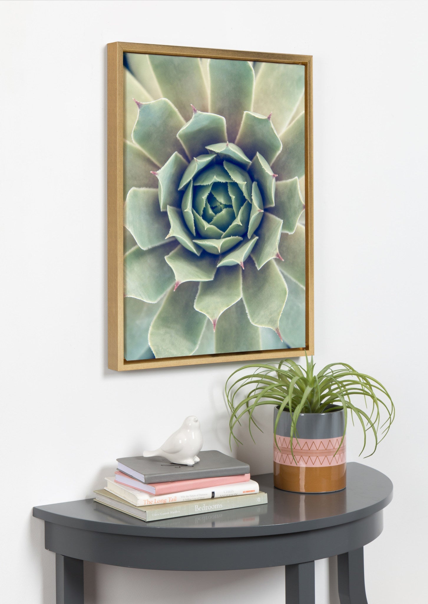 Sylvie Succulent 1 Framed Canvas by kateandlaurel - product image 5 for Resin Society