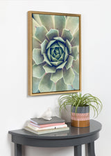 Sylvie Succulent 1 Framed Canvas by kateandlaurel - product image 5 for Resin Society
