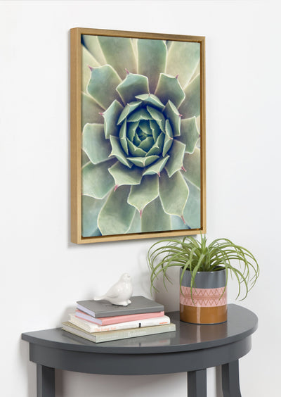 Sylvie Succulent 1 Framed Canvas by kateandlaurel - product image 5 for Resin Society