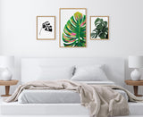 Three framed Monstera leaf artworks in black and white, multicolor, and green above a white bed with neutral bedding and two matching bedside tables with lamps.