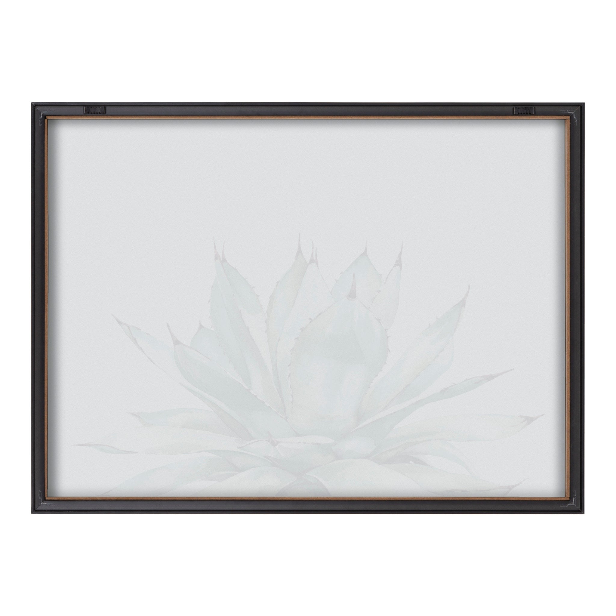 Blake Parrys Agave Framed Printed Glass by kateandlaurel - product image 4 for Resin Society