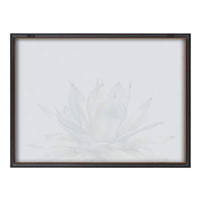 Blake Parrys Agave Framed Printed Glass by kateandlaurel - product image 4 for Resin Society