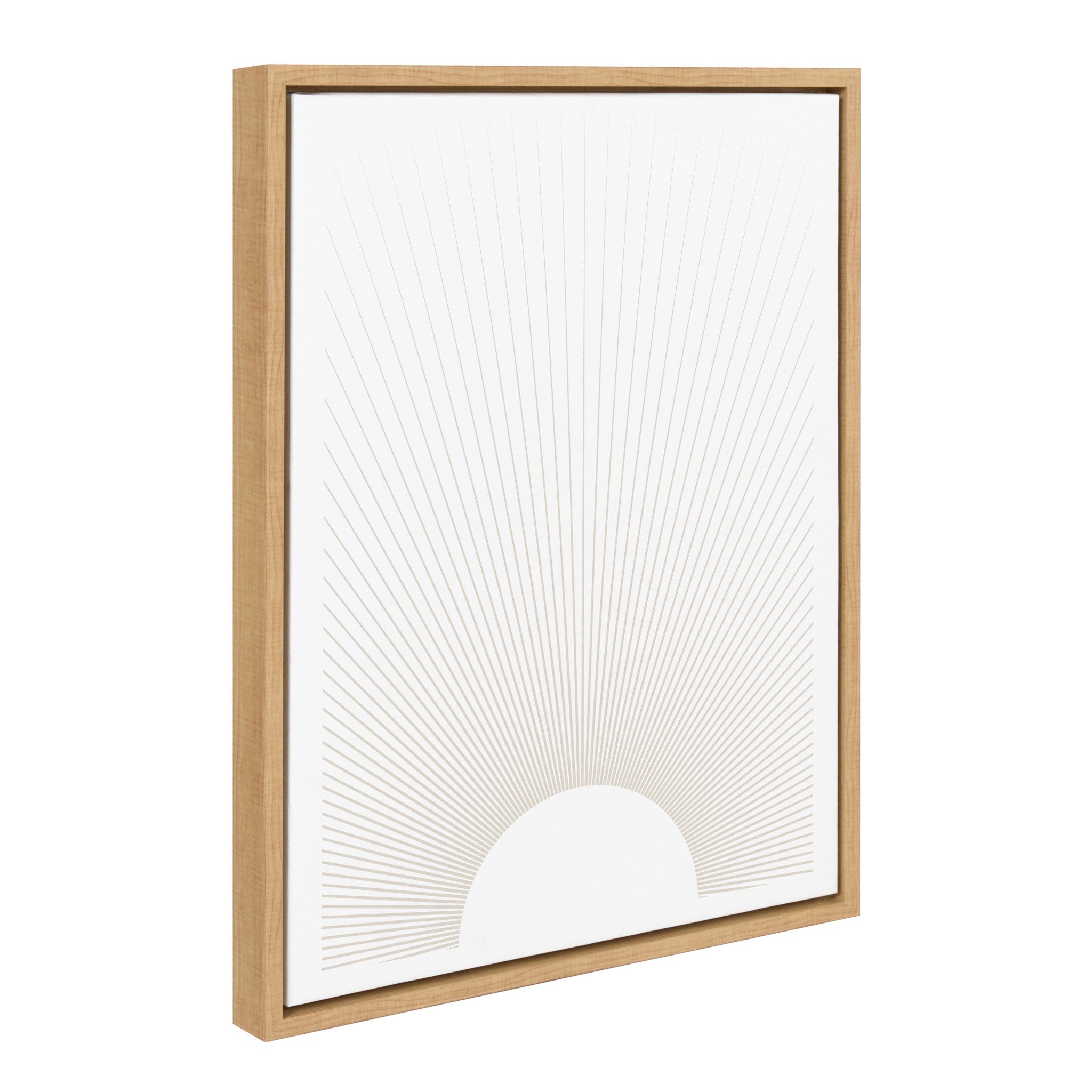 Sylvie Sun Rays Framed Canvas by Rocket Jack by kateandlaurel - main product image for Resin Society