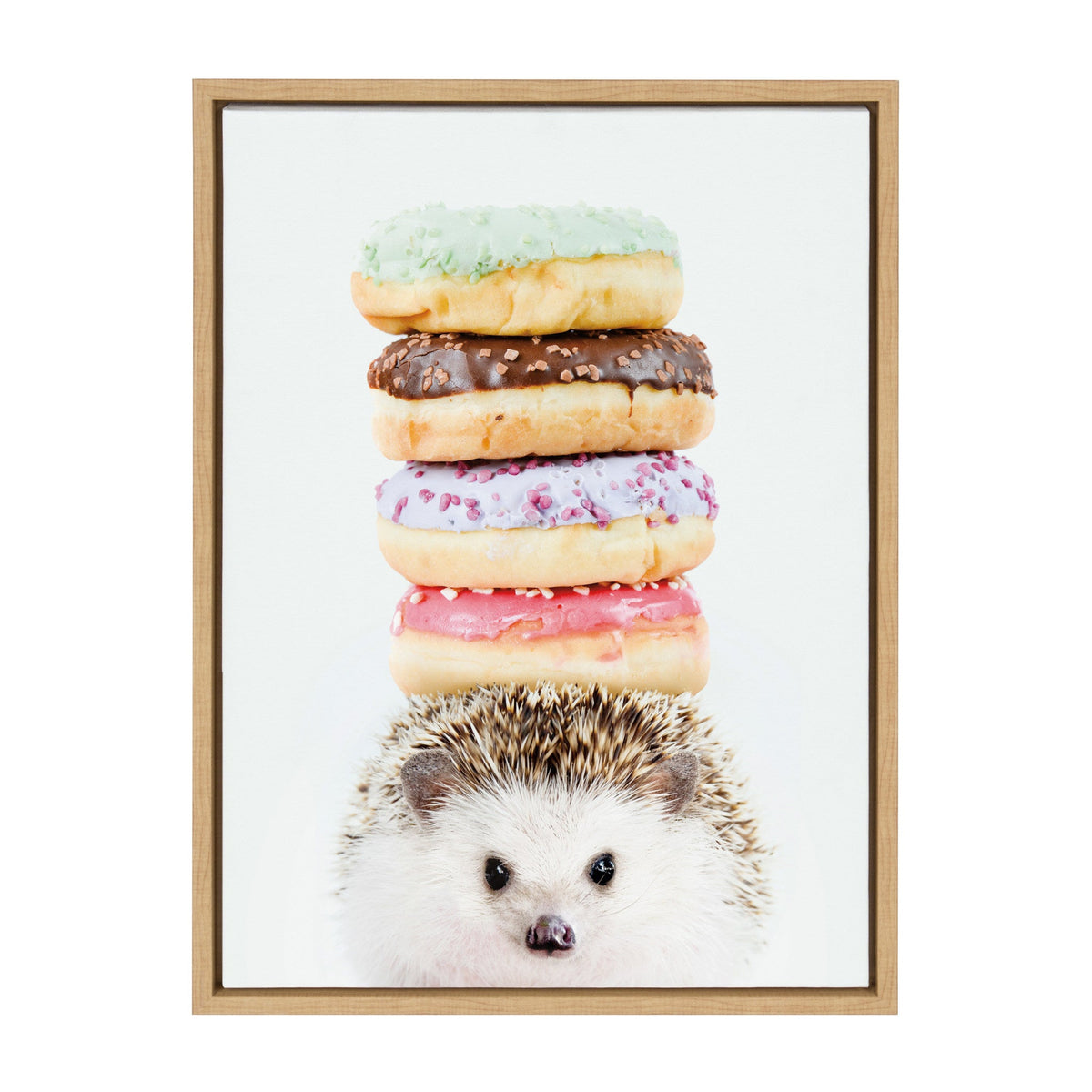 Sylvie Hedgehog Donuts Framed Canvas by Amy Peterson by kateandlaurel - main product image for Resin Society