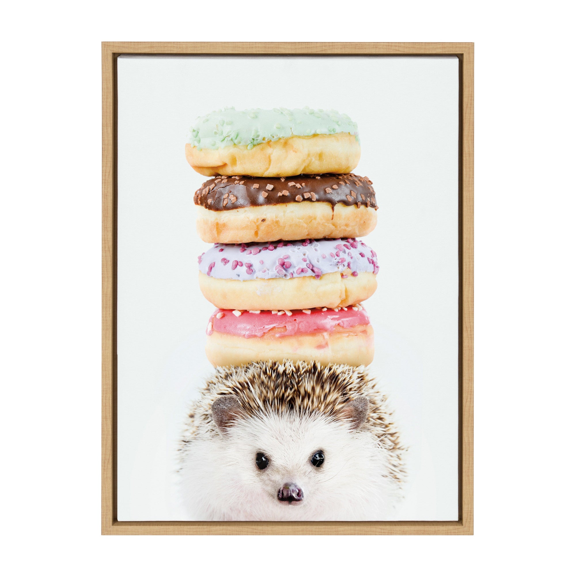 Sylvie Hedgehog Donuts Framed Canvas by Amy Peterson by kateandlaurel - product image 7 for Resin Society