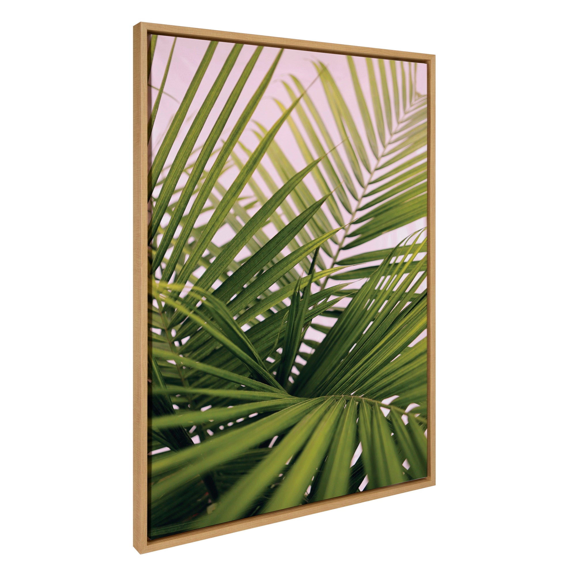 Framed canvas print of beach palm fronds titled Sylvie Her Majesty 2 by Alicia Bock