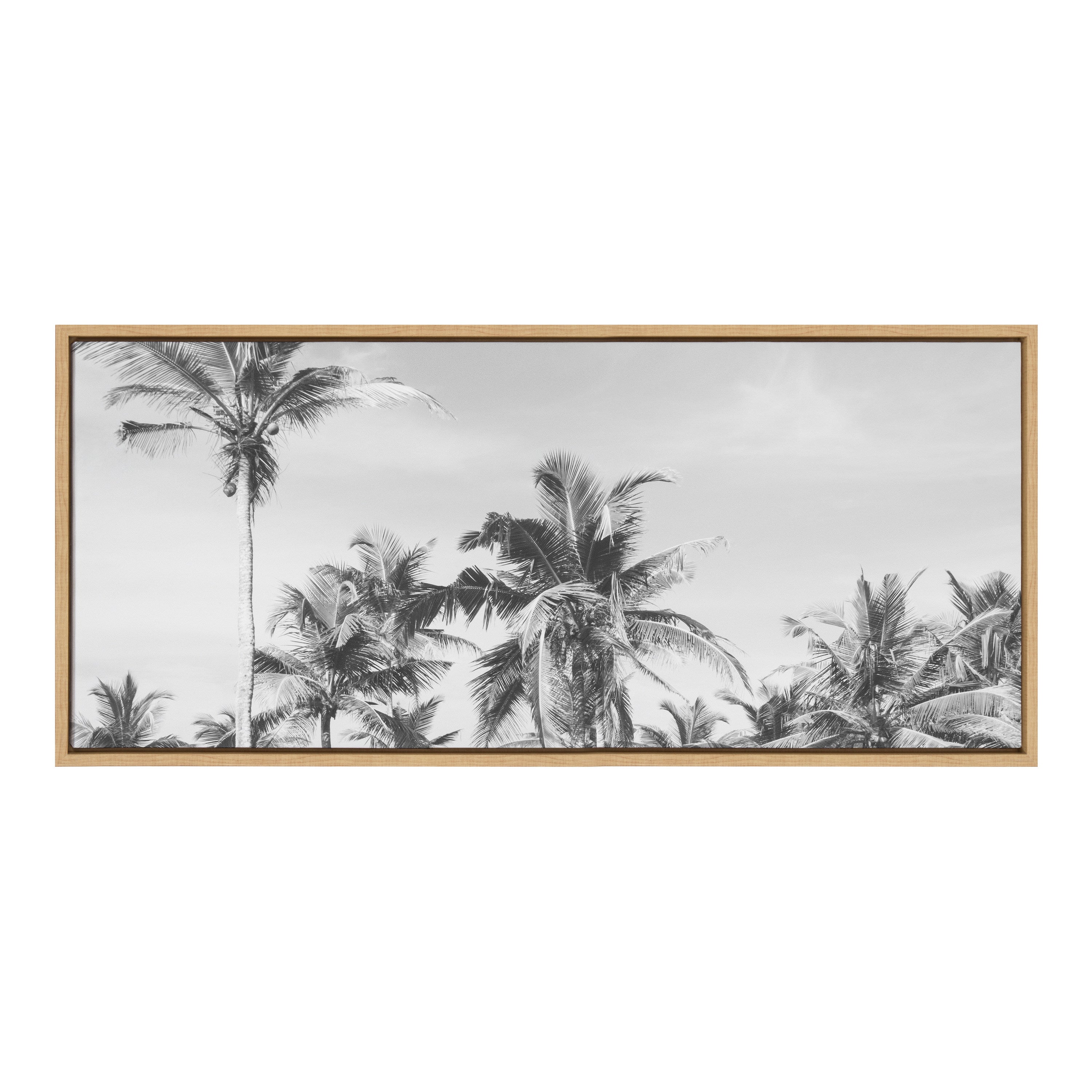 Sylvie Coastal Coconut Palm Tree Beach BW Framed Canvas by kateandlaurel - product image 8 for Resin Society