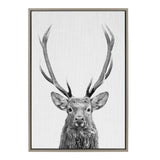 Black and white portrait of a red deer with tall, symmetrical antlers on a textured white background, framed with a simple light wood border.