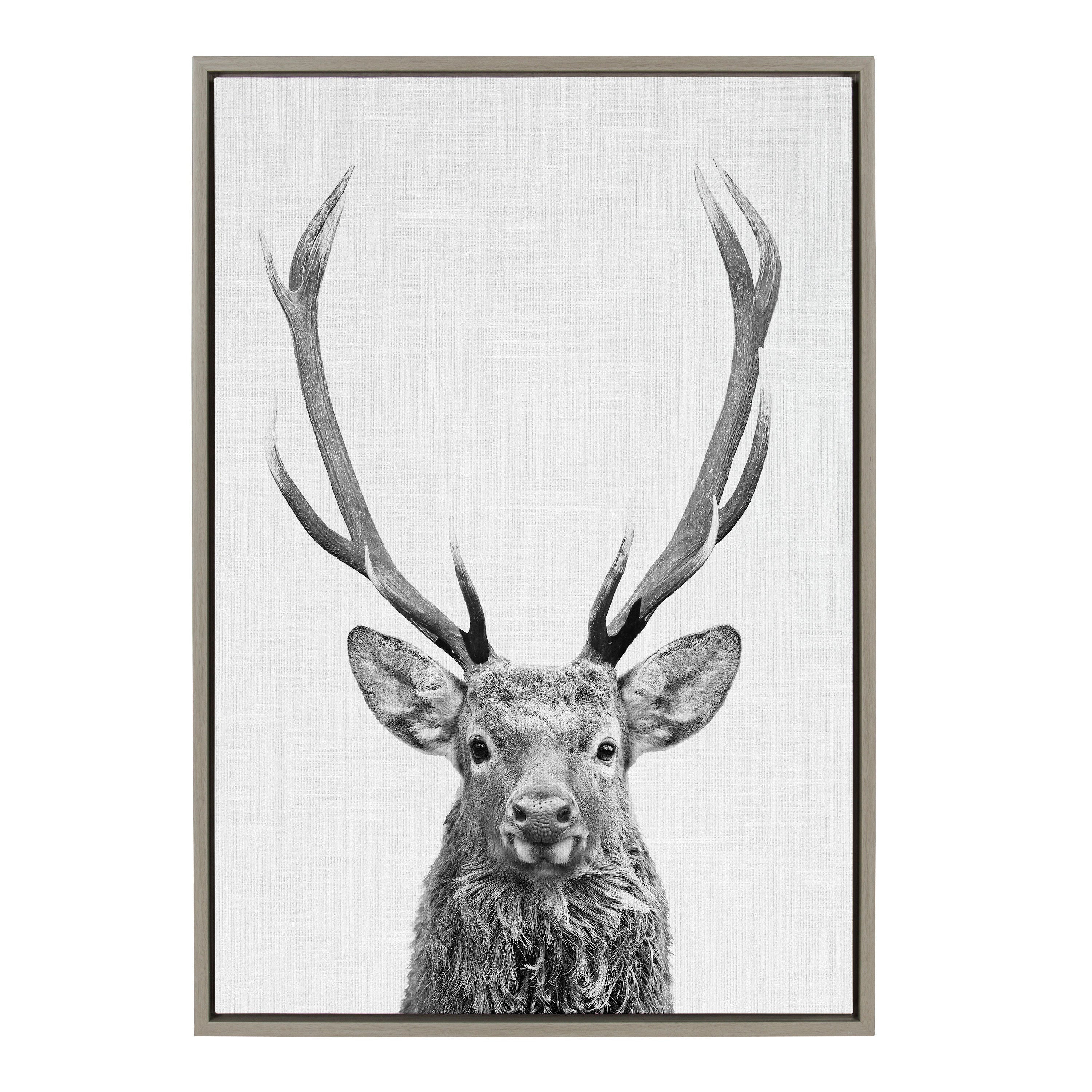 Sylvie The Red Deer BW Framed Canvas by Simon Te of Tai Prints