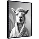 Black and white framed canvas art depicting a llama wearing a towel robe