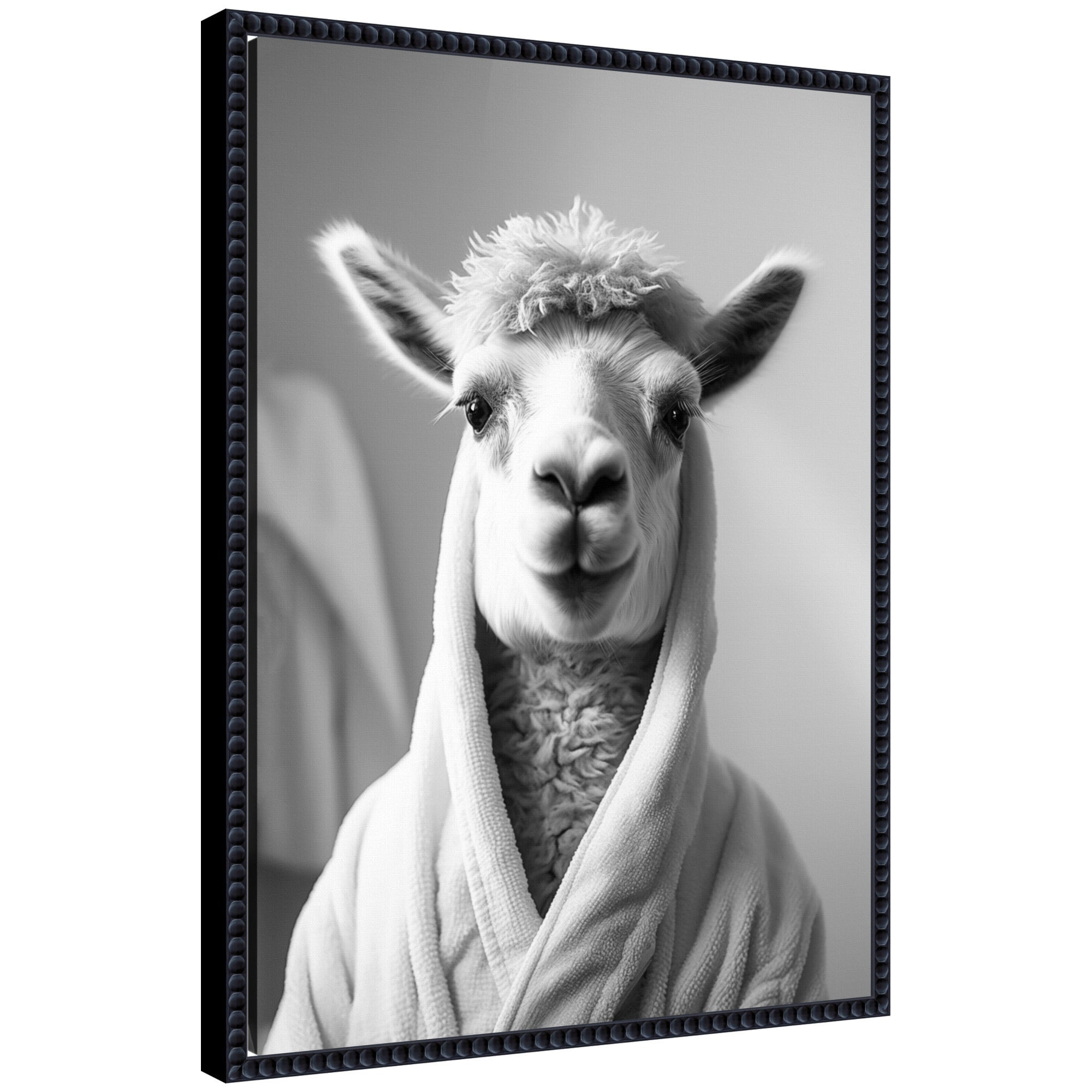 Black and white framed canvas art depicting a llama wearing a towel robe