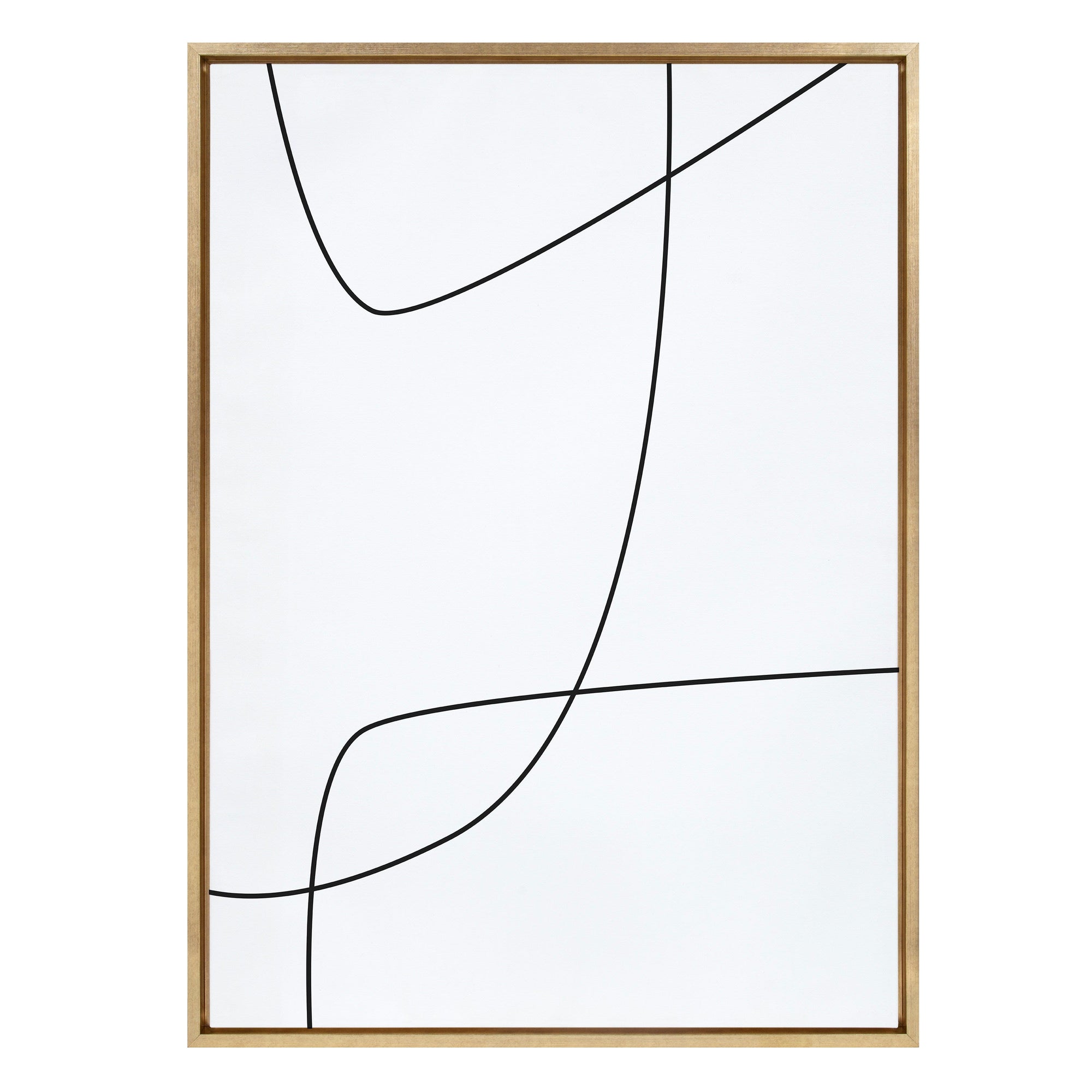 Sylvie Modern Line Abstract 3 BW Framed Canvas by kateandlaurel - main product image for Resin Society