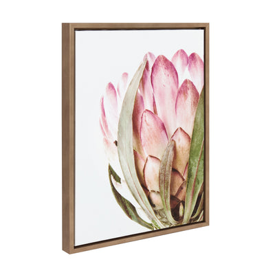 Sylvie Pink Protea Flower Framed Canvas by Amy Peterson by kateandlaurel - product image 13 for Resin Society