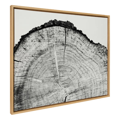 Sylvie Tree Rings BW Framed Canvas by kateandlaurel - main product image for Resin Society