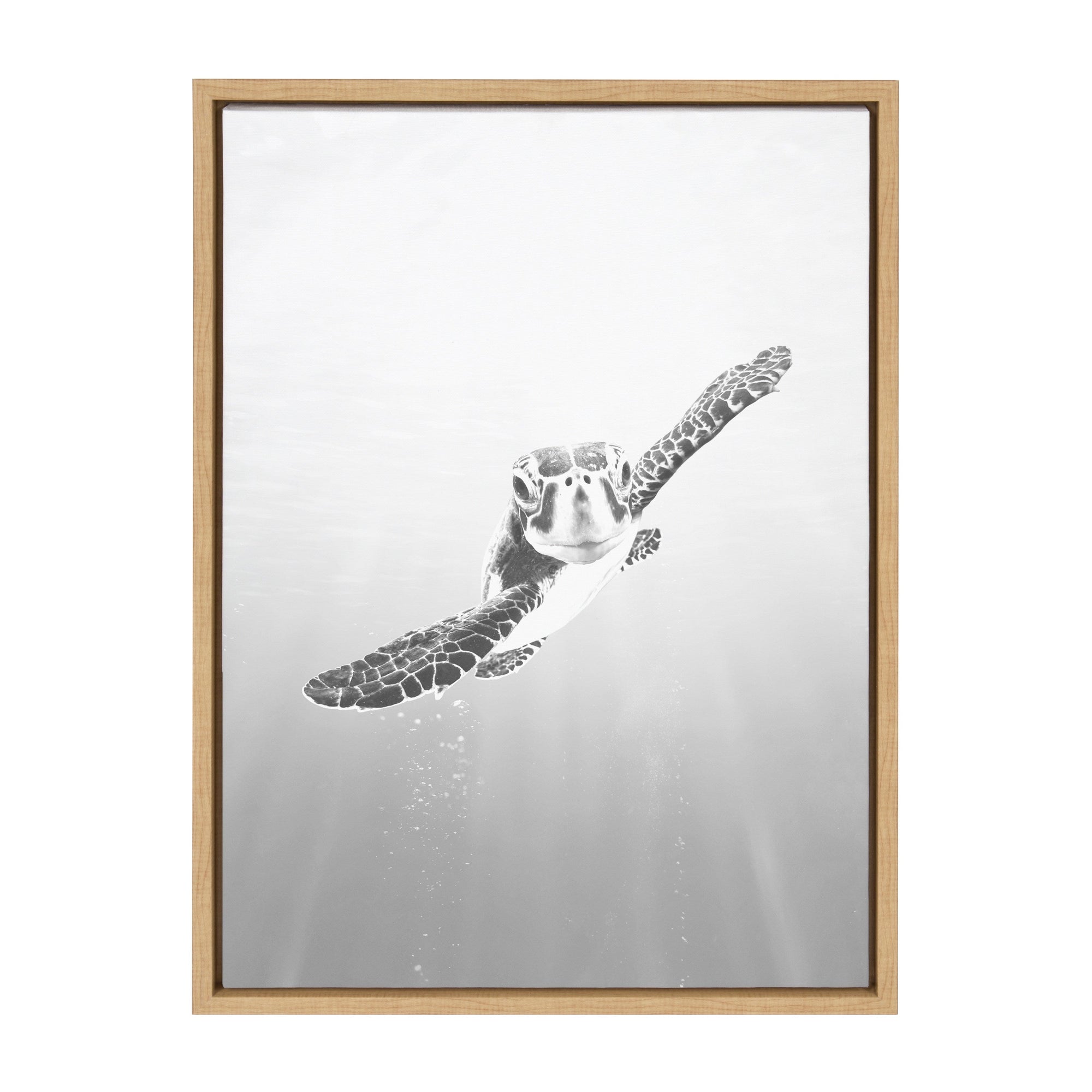 Sylvie Sea Turtle Framed Canvas by Simon Te of Tai Prints by kateandlaurel - main product image for Resin Society