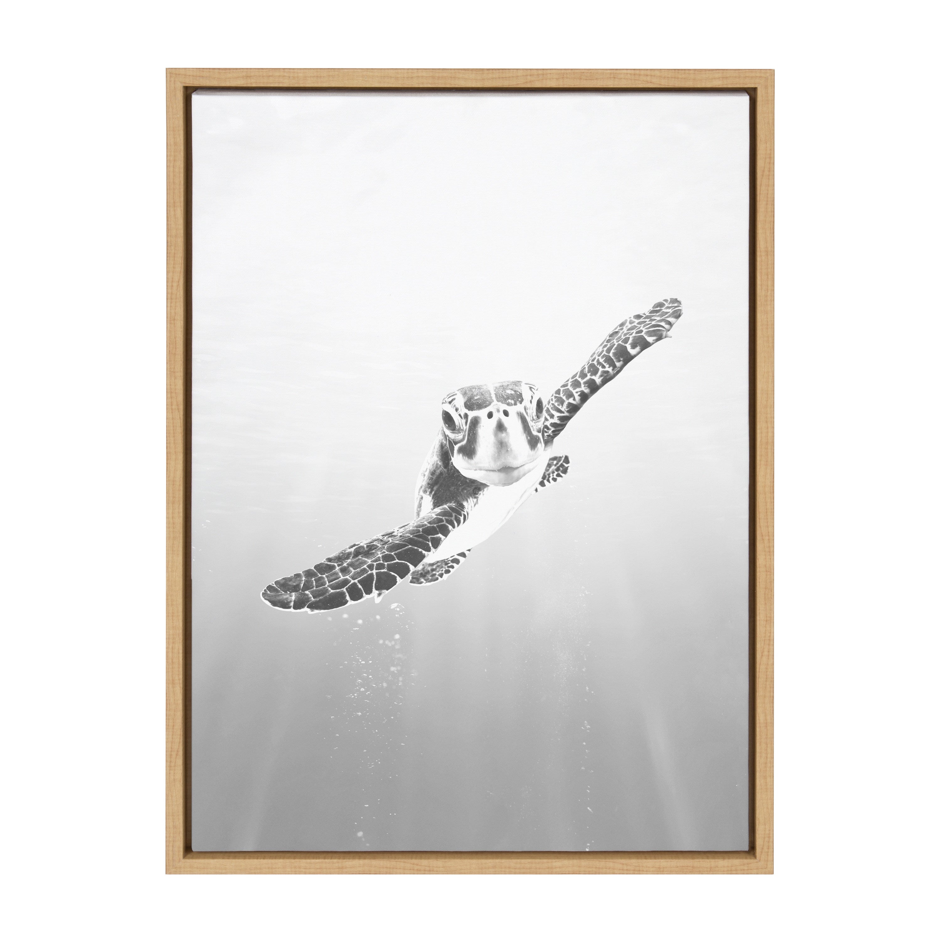 Sylvie Sea Turtle Framed Canvas by Simon Te of Tai Prints by kateandlaurel - main product image for Resin Society
