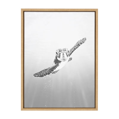 Sylvie Sea Turtle Framed Canvas by Simon Te of Tai Prints by kateandlaurel - main product image for Resin Society