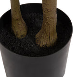 Close-up of two thick greenish-brown tree trunks emerging from a black textured soil inside a smooth matte black cylindrical pot