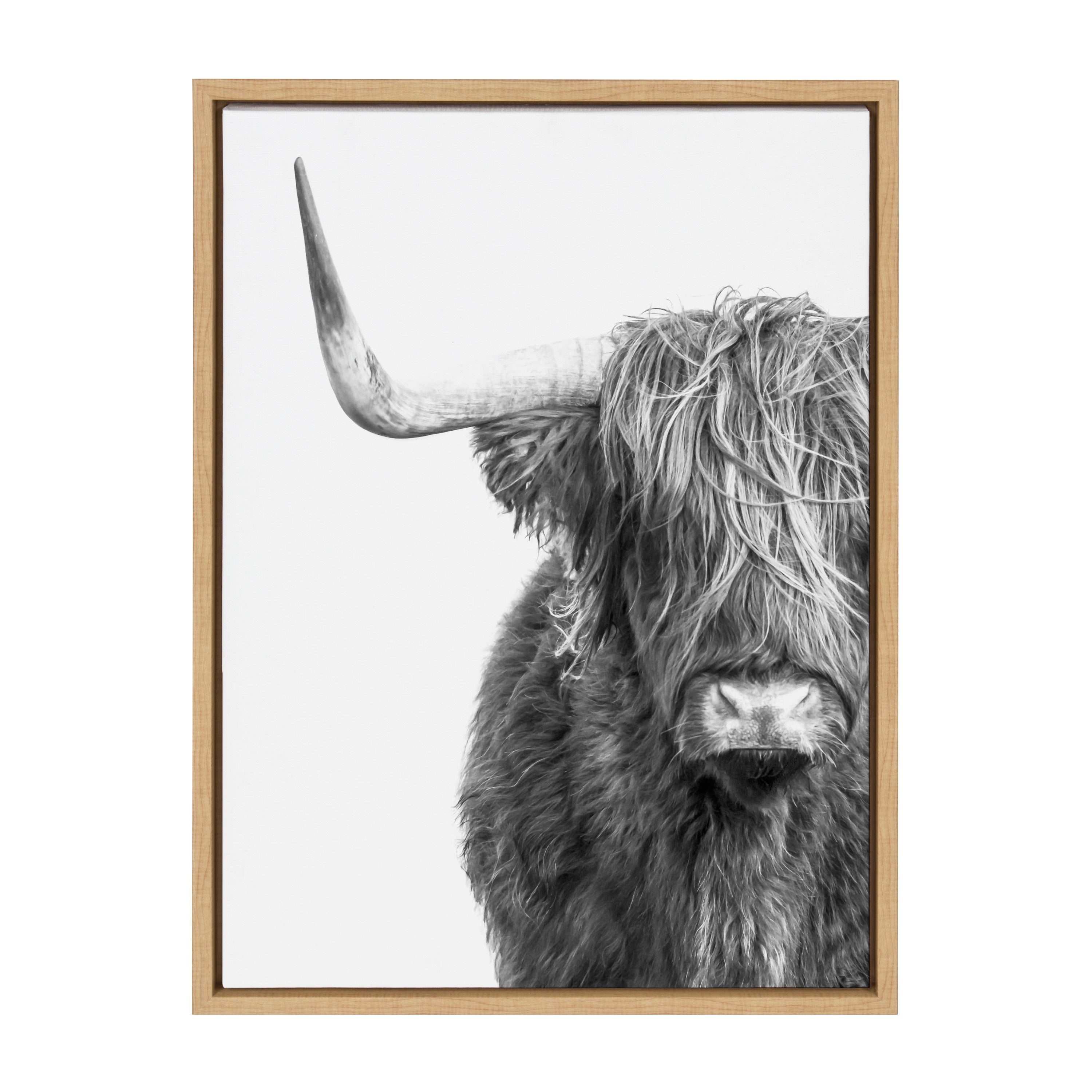 Sylvie B&W Highland Cow No. 1 Framed Canvas by Amy Peterson Art Studio