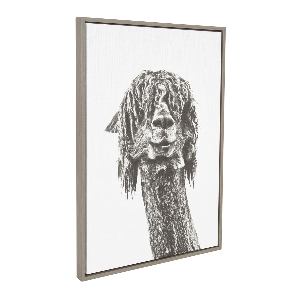 Sylvie Curly Hair Alpaca Framed Canvas by Simon Te Tai by kateandlaurel - product image 2 for Resin Society