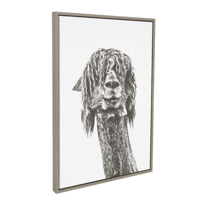 Sylvie Curly Hair Alpaca Framed Canvas by Simon Te Tai by kateandlaurel - product image 2 for Resin Society