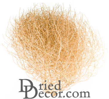 Gigantic Country Tumbleweed by DriedDecor - product image 4 for Resin Society