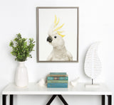 Framed canvas of a white cockatoo with yellow crest feathers above a white shelf holding a white vase with green foliage, stacked books, two bird figurines, and a white feather sculpture.