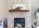 Sylvie Texas Longhorn Framed Canvas by kateandlaurel - product image 11 for Resin Society